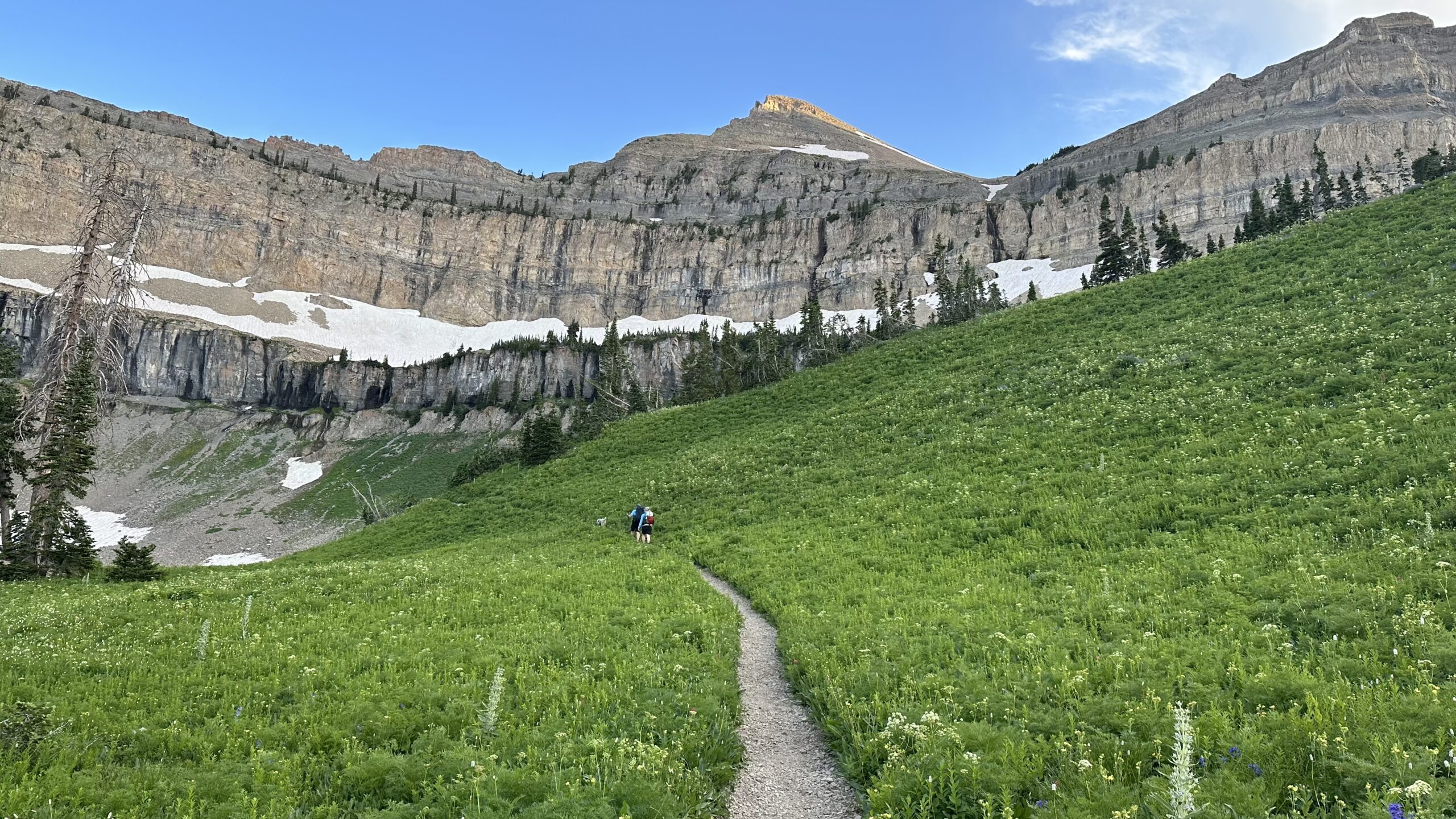 Hikers walk along a trail