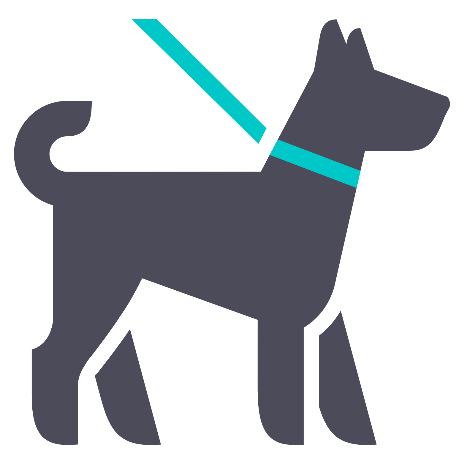 icon shows a dog on a leash