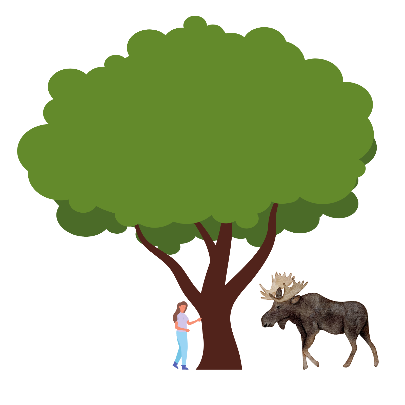 icons show a person behind a tree with a moose on the other side